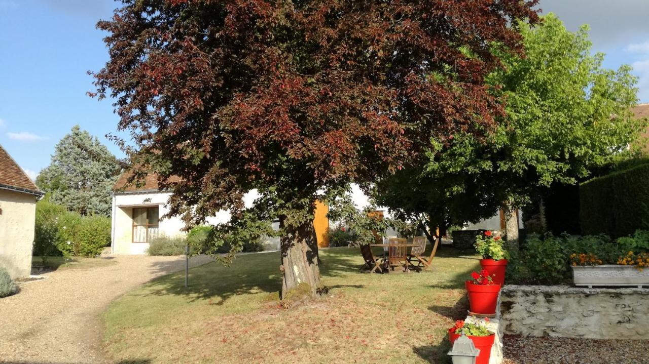La Haute Traversiere Francueil Exterior photo